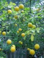 /album/fenykepgaleria/images-6-jpg/